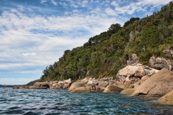 Kayaking in the Able Tasman